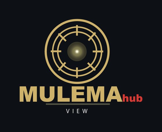 MULEMA HUB VIEW